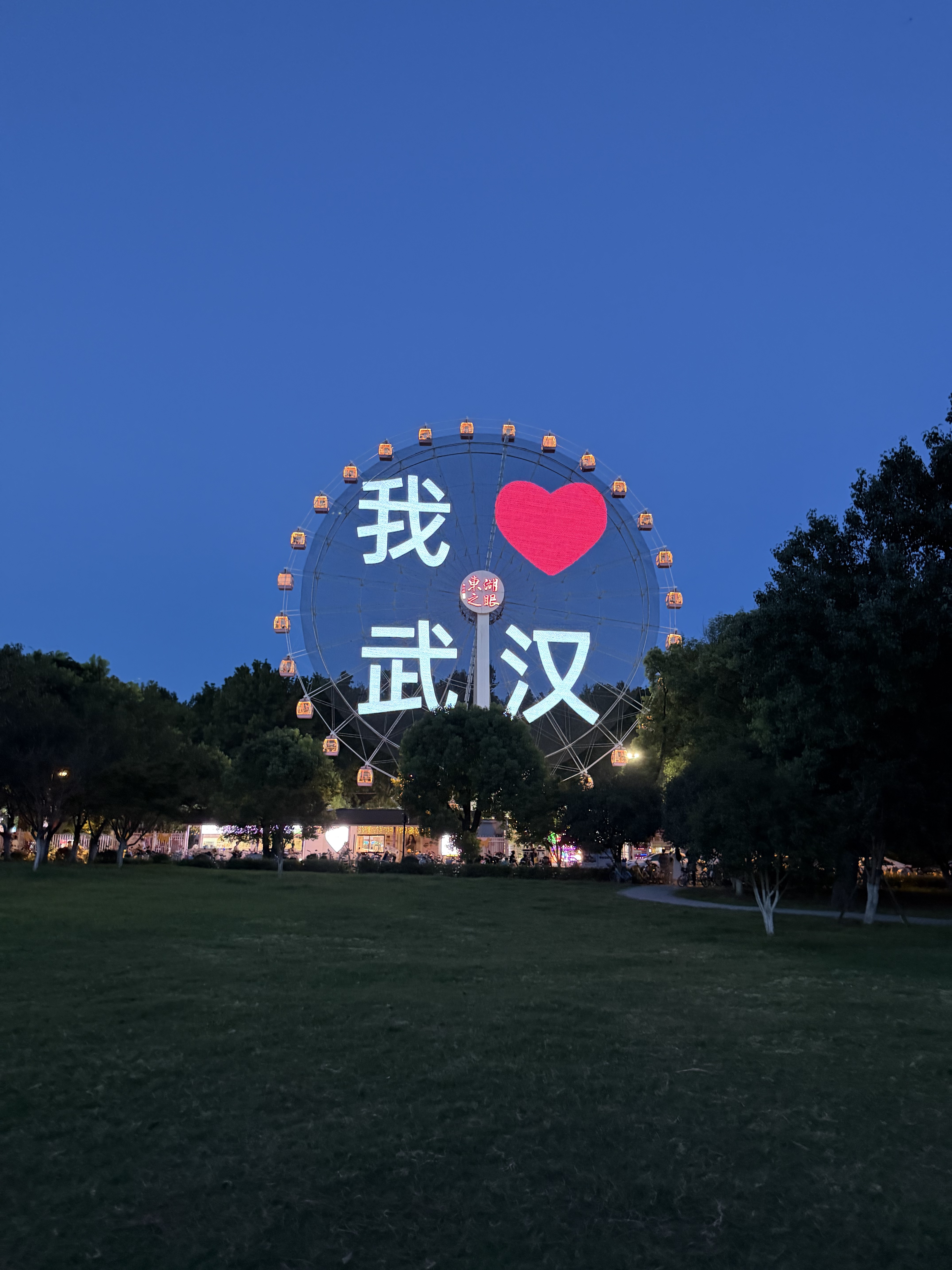 星落东湖·光影七夕|2026东湖之眼浪漫观影季,赴一场湖畔露天光影之约