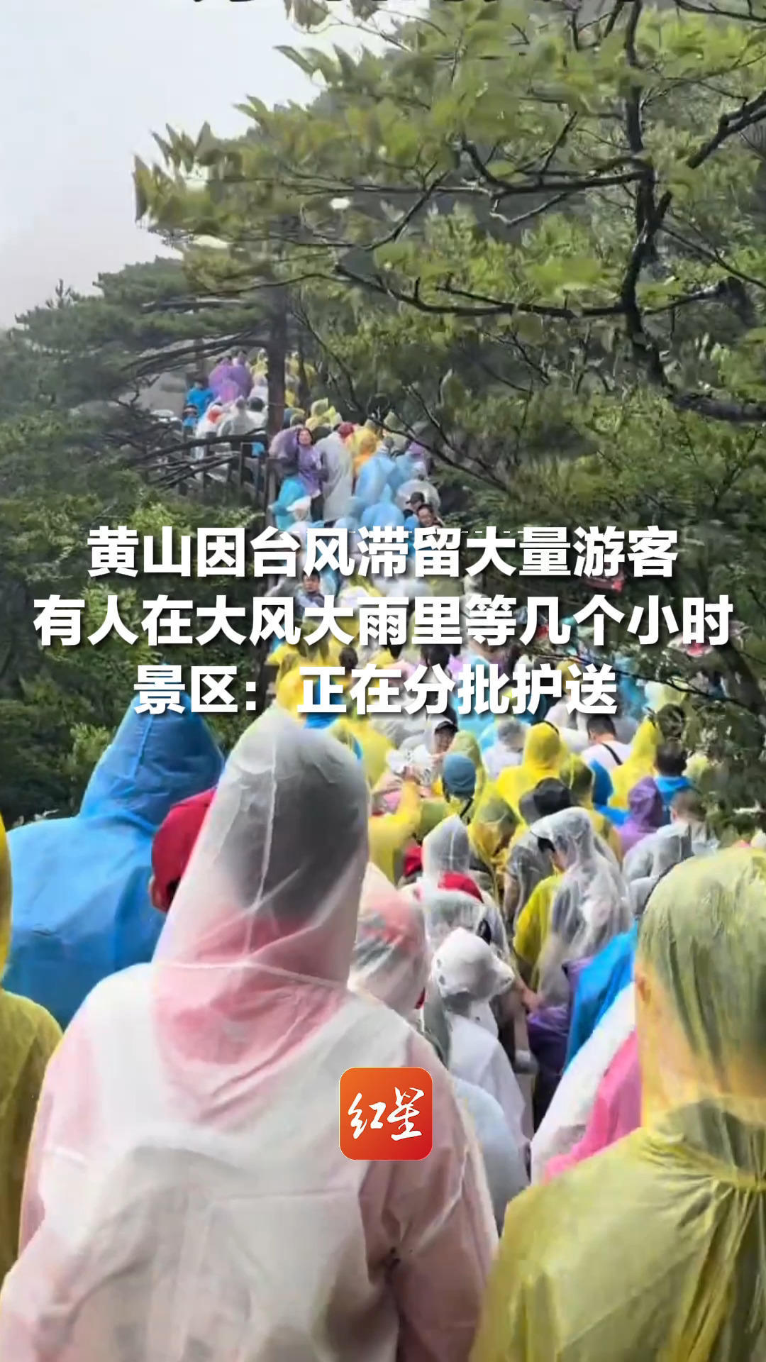 黄山因台风滞留大量游客，有人在大风大雨里等几个小时，景区：正在分批护送，目前景区已暂停对外开放