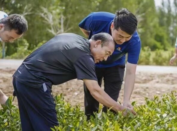 青岛乡里乡亲丨乡土文化带头人 殷清希:守“茶”五十载,匠心富乡亲