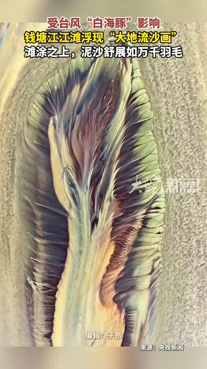 受台风“白海豚”影响 钱塘江江滩浮现“大地流沙画”滩涂之上，泥沙舒展如万千羽毛