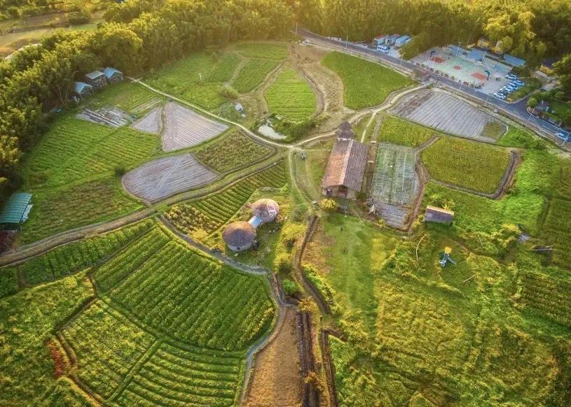 郭文海五桂山街道调研“百千万工程” 努力打造大湾区文旅康养目的地