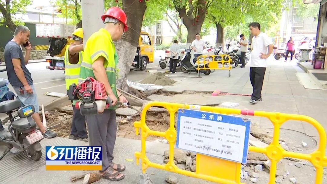 赣州安远路行道树树根将路面拱起,行人经常被绊,章贡区园林部门出手整治_凤凰网