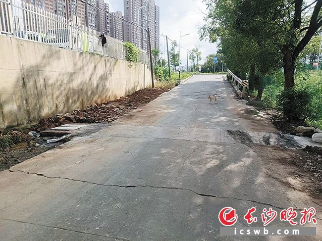 8月19日,记者再次来到该路段,发现经过修整后的路面已干干净净,不见一丝积水。均为长沙晚报全媒体记者 李金 摄