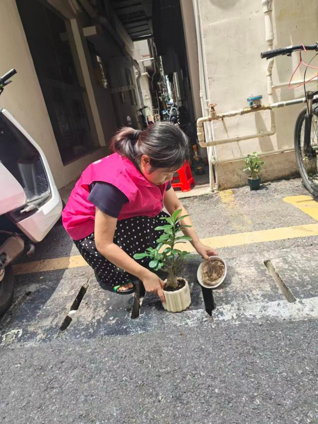 翻盆倒罐清积水！南昌社区巾帼志愿者投身“两热”防控，守护邻里健康