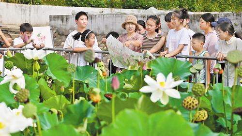 8月5日，曲阳县美术家协会主席刘欣欣在该县下河镇新赤岸村荷塘边跟学生一起写生。李秀哲摄