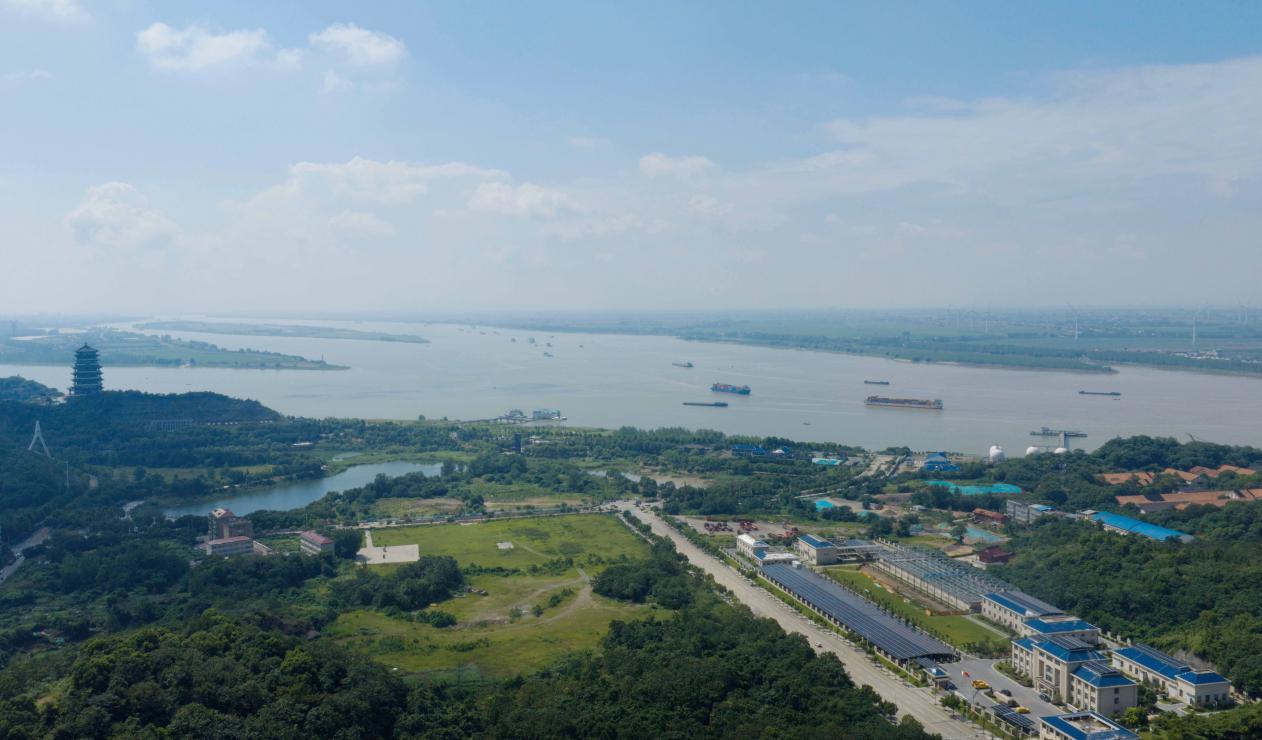 建成后的洋港湿地公园（2026年8月摄）