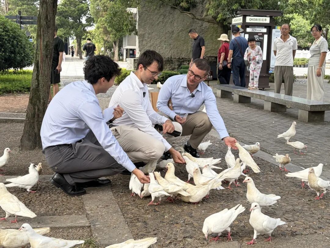 中法青年在中国人民抗日战争胜利受降纪念馆喂和平鸽 记者陈倩 王俐燃摄