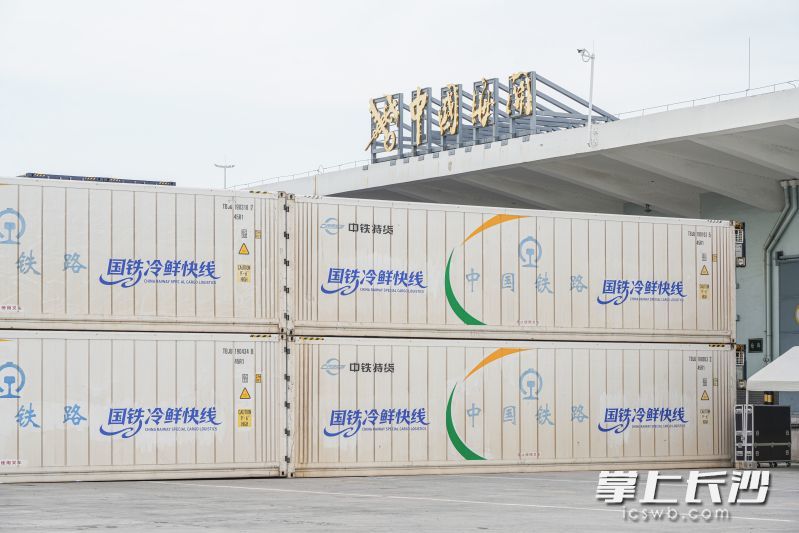 “国铁冷鲜快线”琼果跨海班列首发。均为通讯员 供图