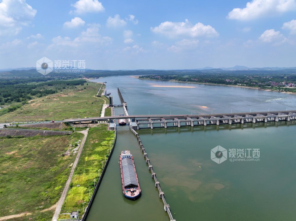 2026年8月17日,江西省吉安市泰和航电枢纽,货运船舶正顺利通过船闸。