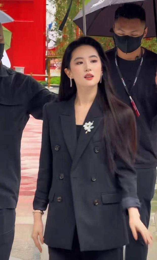 刘亦菲完全是霸道女总裁。
