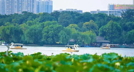 济南：大明湖落日荷塘游船同框，游客争相打卡