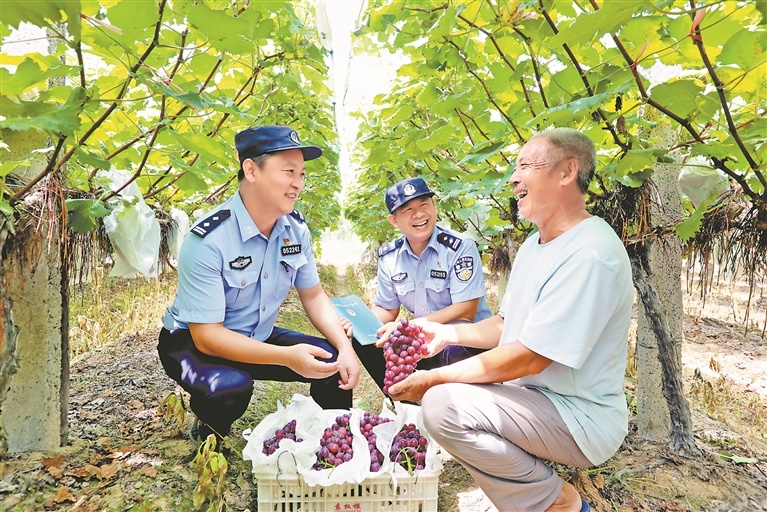 分宜县：反诈宣传进果园 助农服务护丰收（图）