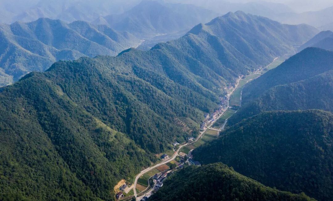 鲢鱼地.jpg