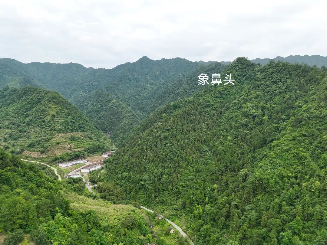 威坪镇象鼻头.jpg