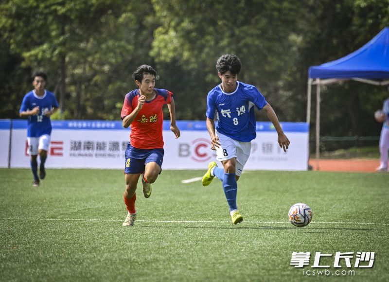 长沙队8号谢灵溪在比赛中。
