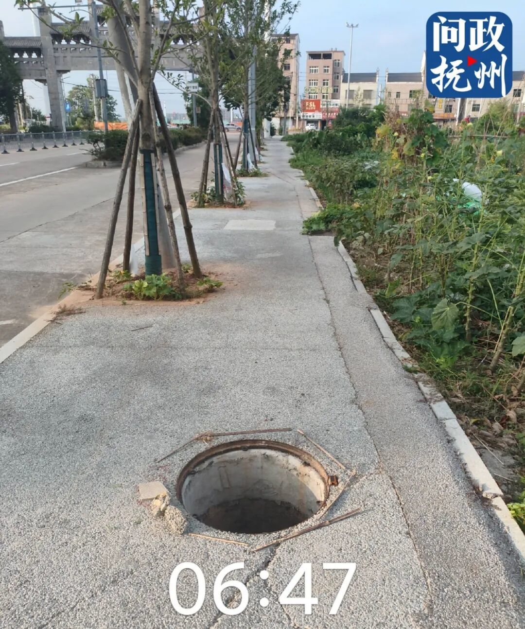 ▲图片由网友提供