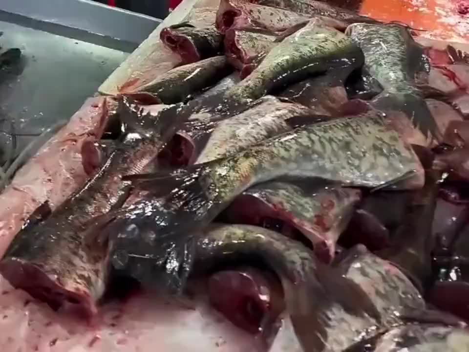 不到四块的鱼尾，原来聪明人都不会单独买鱼头