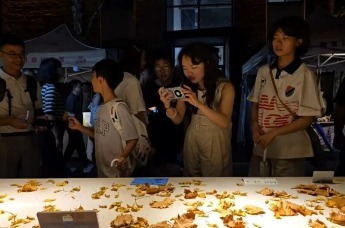 男子在景德镇卖树叶10元一片