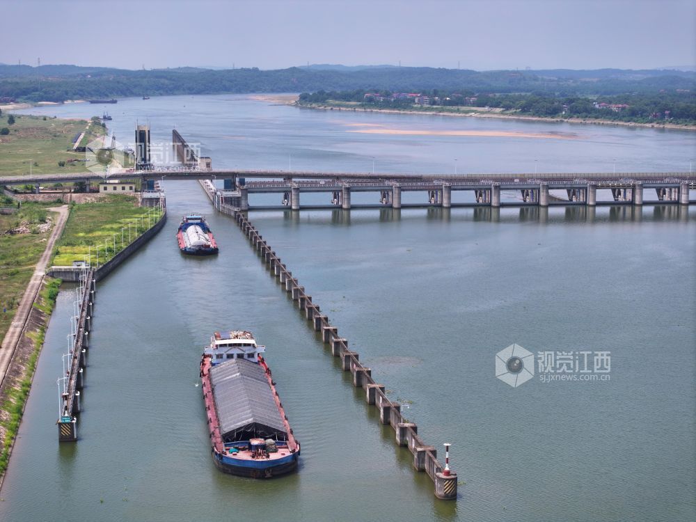2026年8月17日,江西省吉安市泰和航电枢纽,货运船舶正顺利通过船闸。