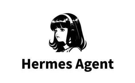 图片来源:Hermes
