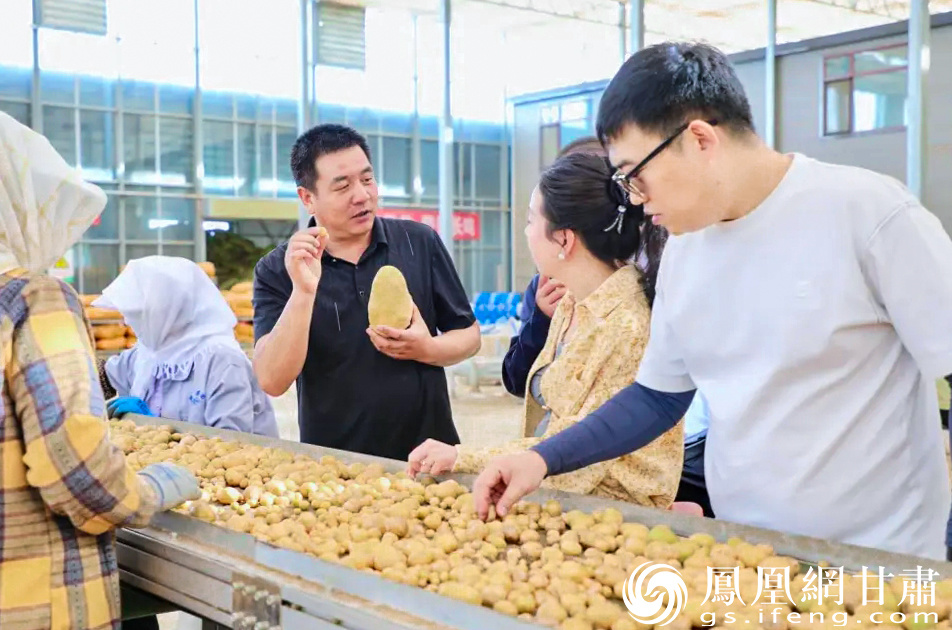 民乐县六坝镇集华农业脱毒马铃薯原原种繁育中心培育的脱毒种薯　张掖市融媒体中心供图