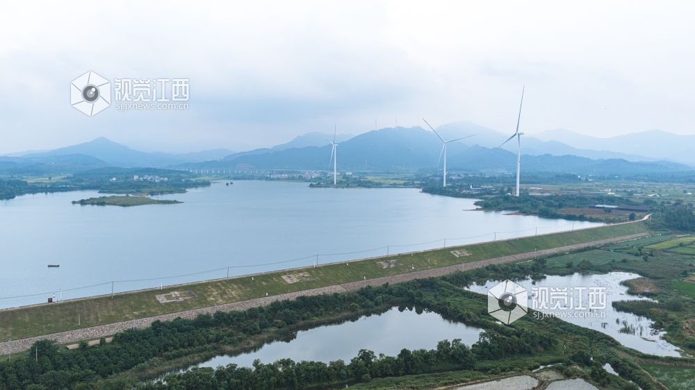 2026年8月14日在江西省吉安市新干县中堎水库拍摄的画面。