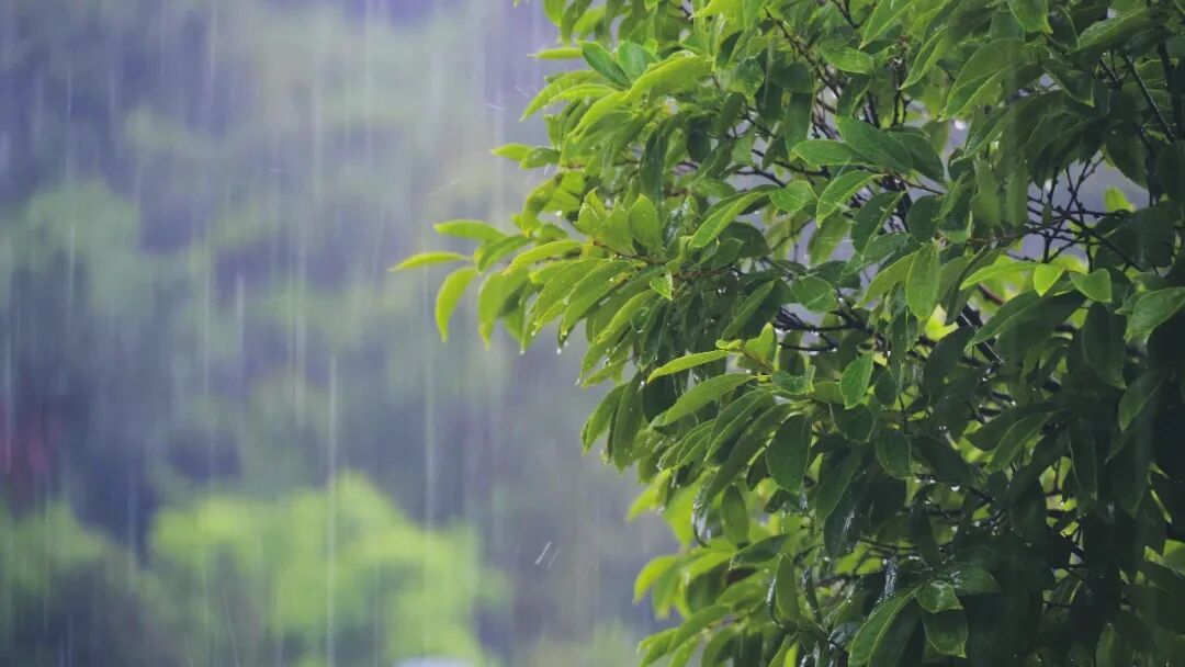 千库网_实拍夏日暴雨雨水天气下雨雨滴实拍_摄影图编号21025345.jpg