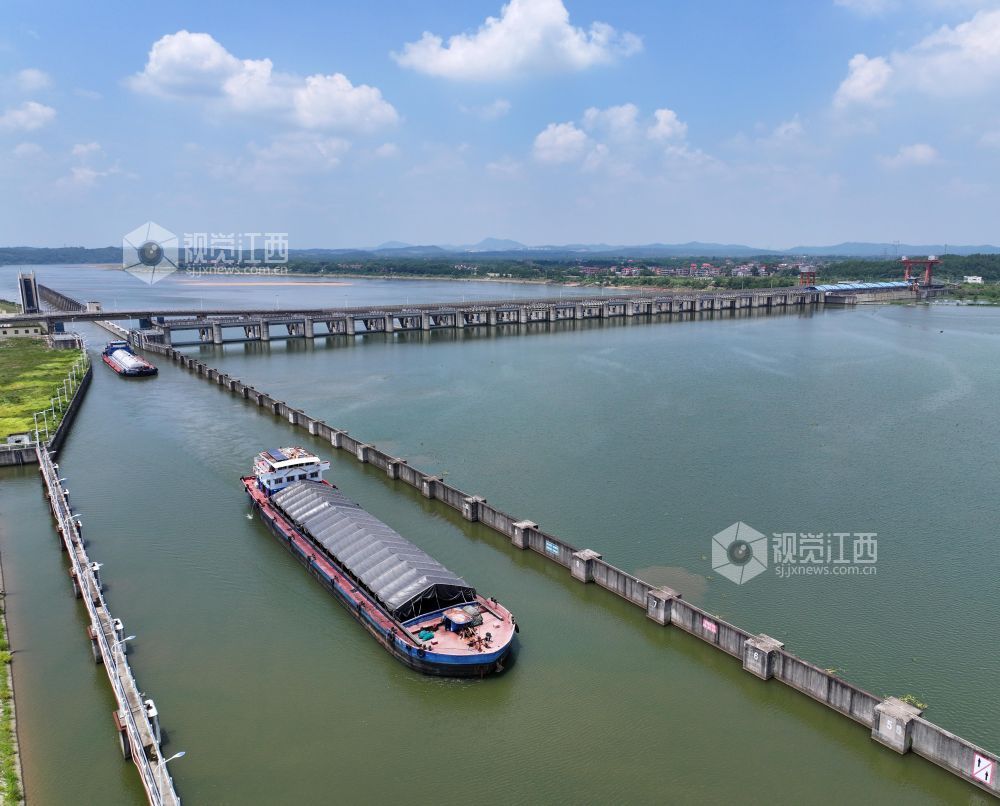 2026年8月17日,江西省吉安市泰和航电枢纽,货运船舶正顺利通过船闸。