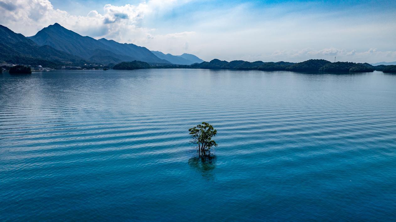 图片来源:庐山西海风景区