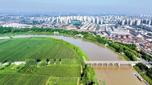 8月15日,大运河故城段,郑口挑水坝沿河依次排列。本报记者 焦磊摄