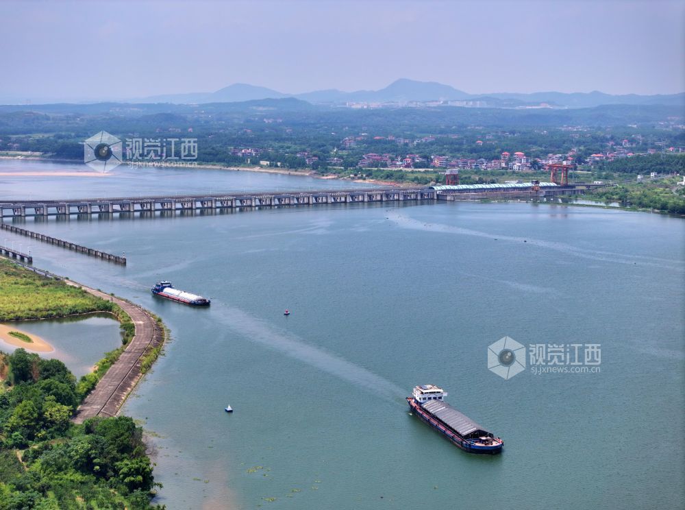 2026年8月17日,江西省吉安市泰和航电枢纽,货运船舶正顺利通过船闸。