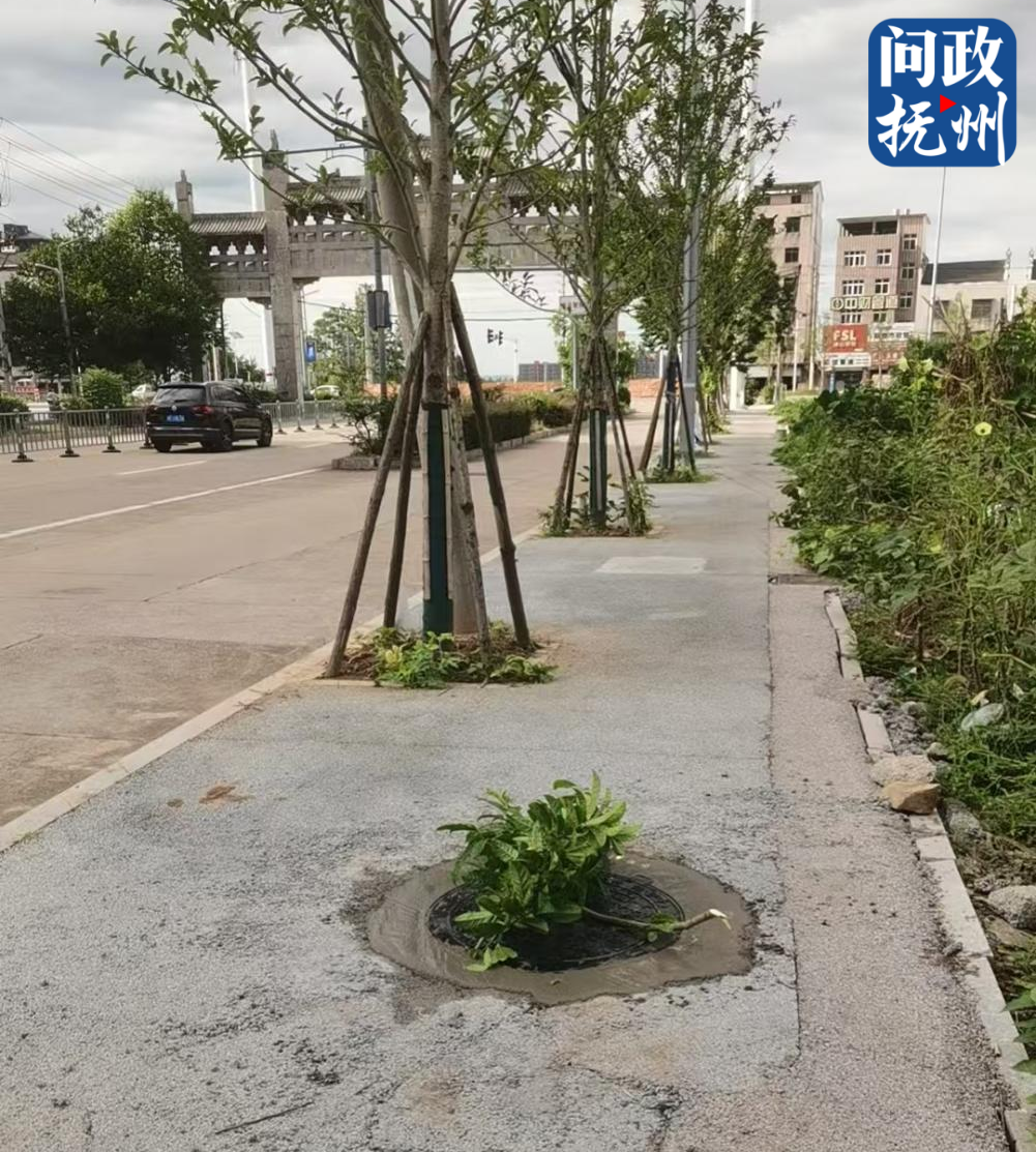 ▲图片由部门提供