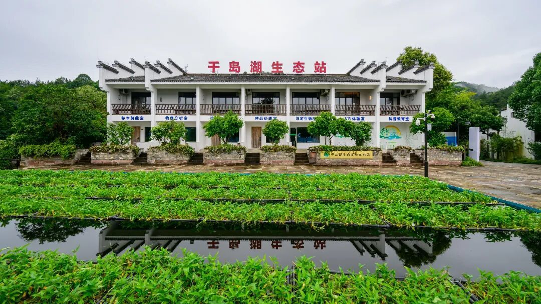 微信图片_20260817082951_12_2.jpg