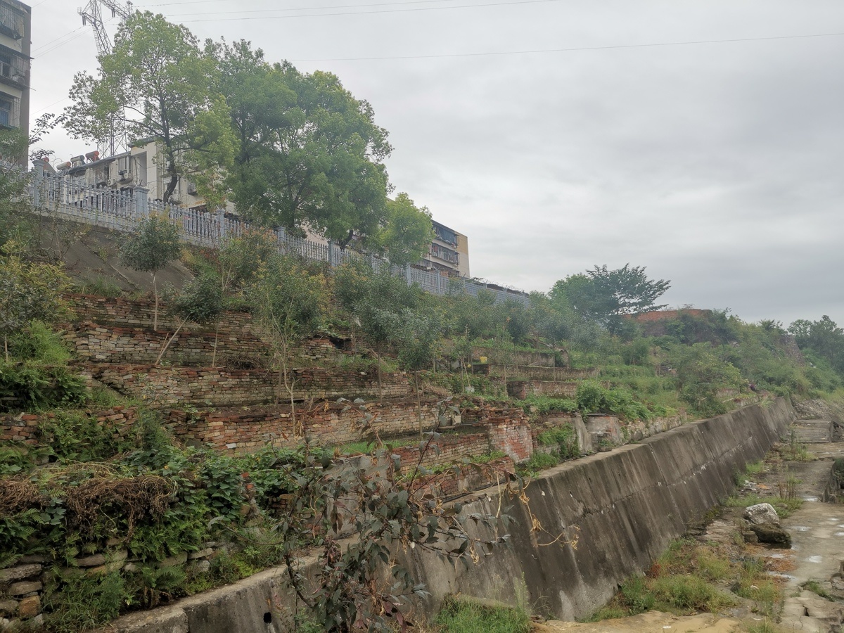 江豚逐浪,水清岸绿:从西坝江湾到丹江口水库,看湖北十年跨区域生态治理的生动实践_凤凰网