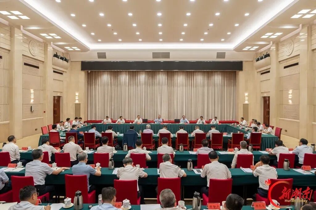 湖南未来产业如何落子？省委请他们支招(图1)