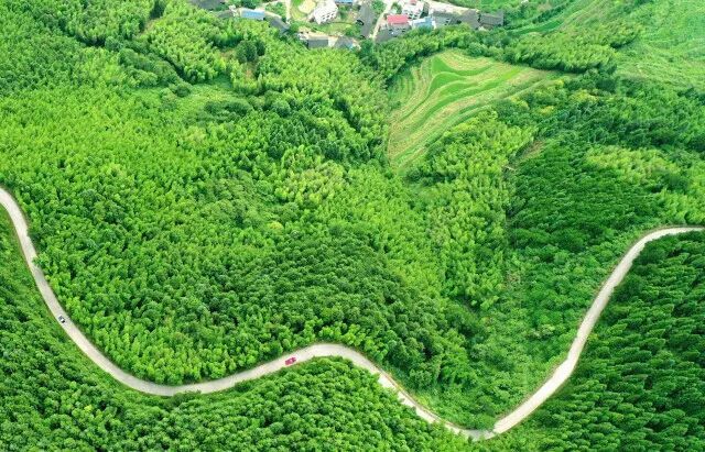邵阳城步苗族自治县城林竹茂绿。严钦龙 摄