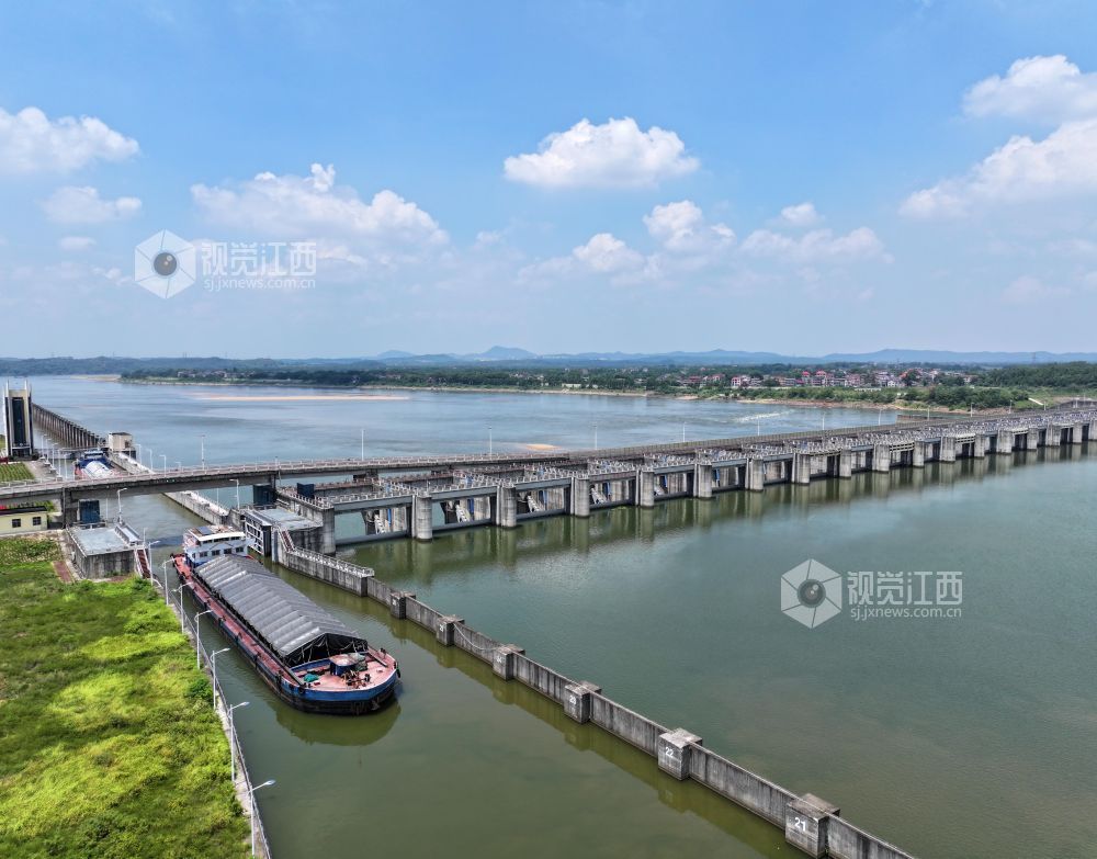 2026年8月17日,江西省吉安市泰和航电枢纽,货运船舶正顺利通过船闸。