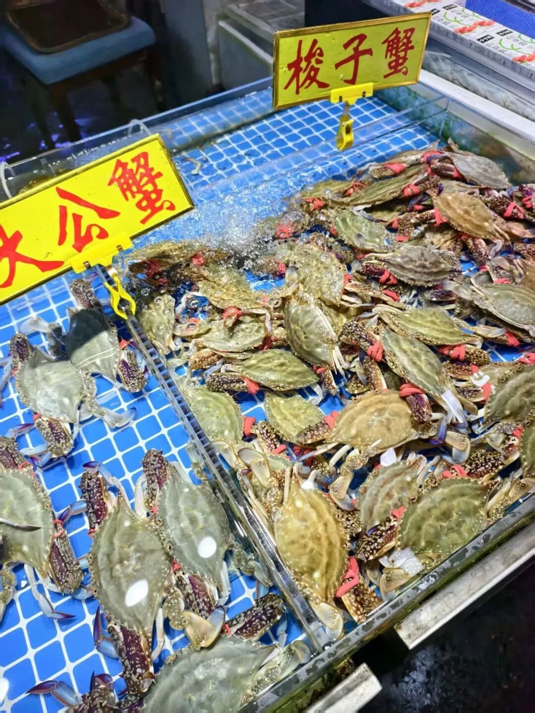 图片来源：“济南海鲜大市场”微信公众号