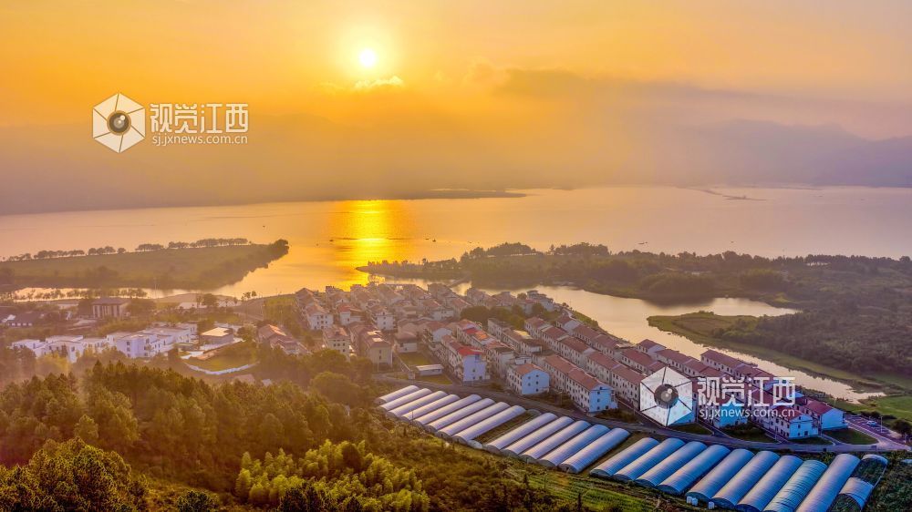 2026年8月20日，在江西省吉安市峡江县巴邱镇蒋沙新村拍摄的画面。