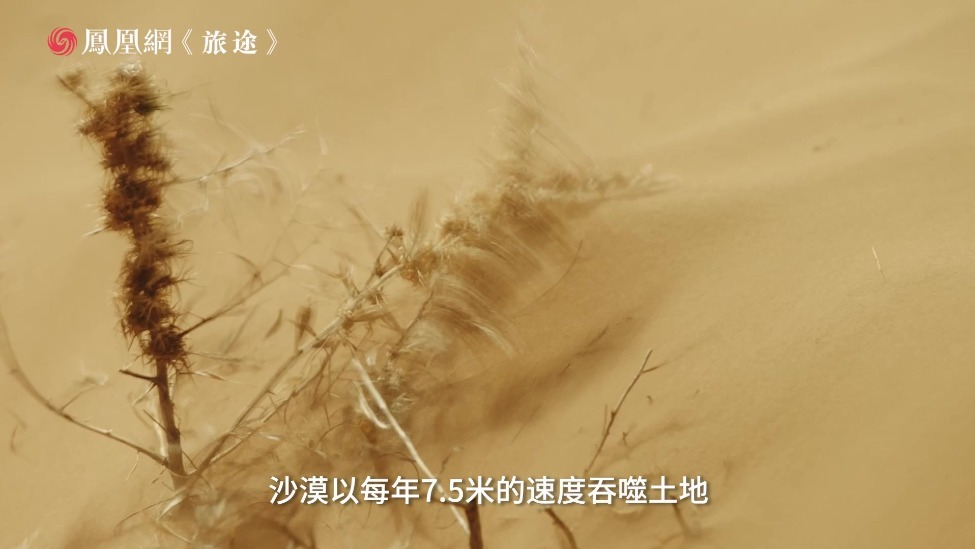 出门八步就是沙漠！这群甘肃人靠三样东西把黄沙变宝地