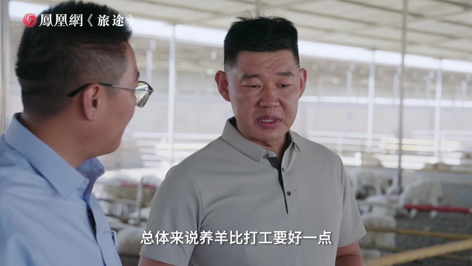 95后小伙返乡养羊还清30万再贷50万！“养羊比打工要好，老婆孩子在身边，还能照顾父母”