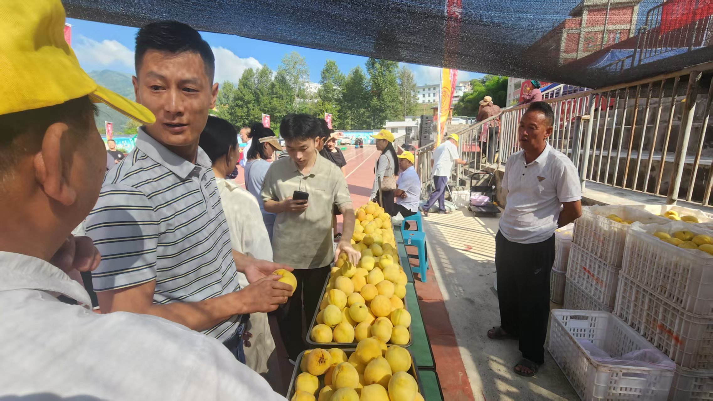 美姑县举办2026年“文明实践聚民心 黄桃丰收助振兴”文艺演出暨黄桃采摘活动
