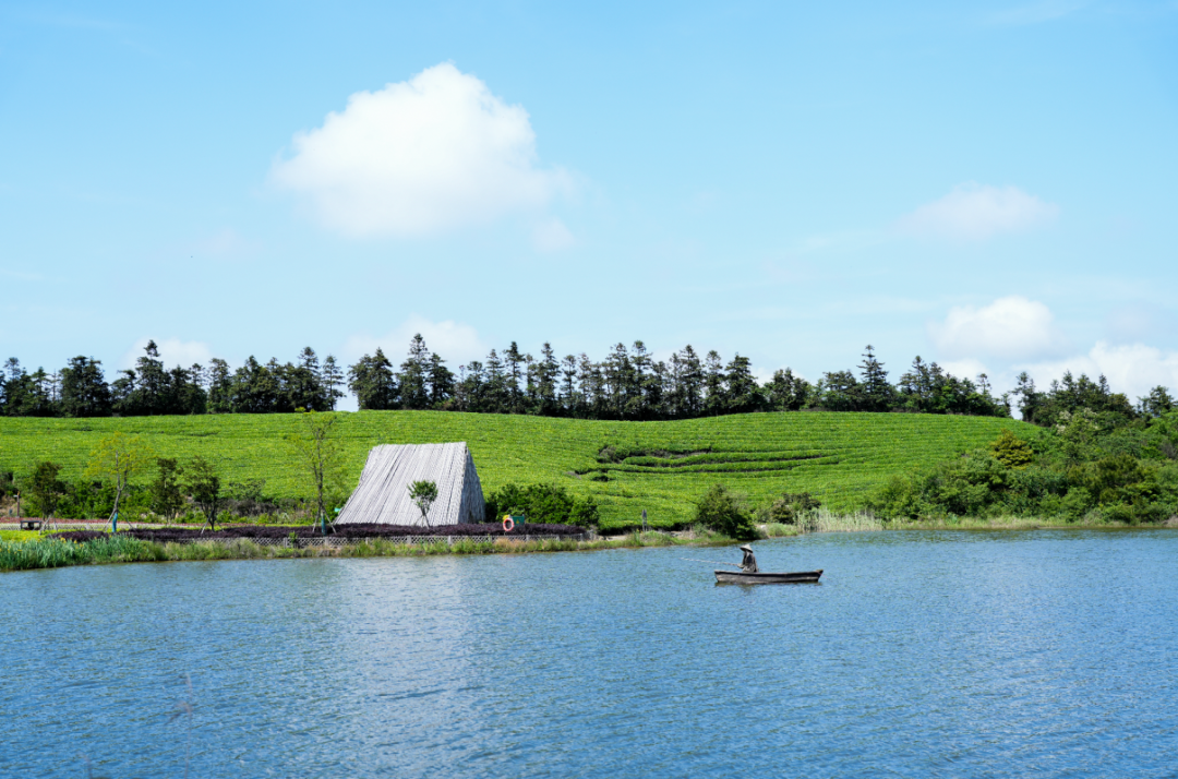 5.18 冯亮 福泉山龙潭茶山 (3).png