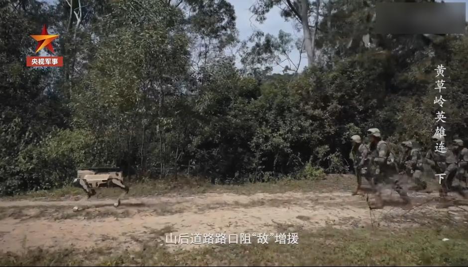 伴随我军前进的武装机器狼