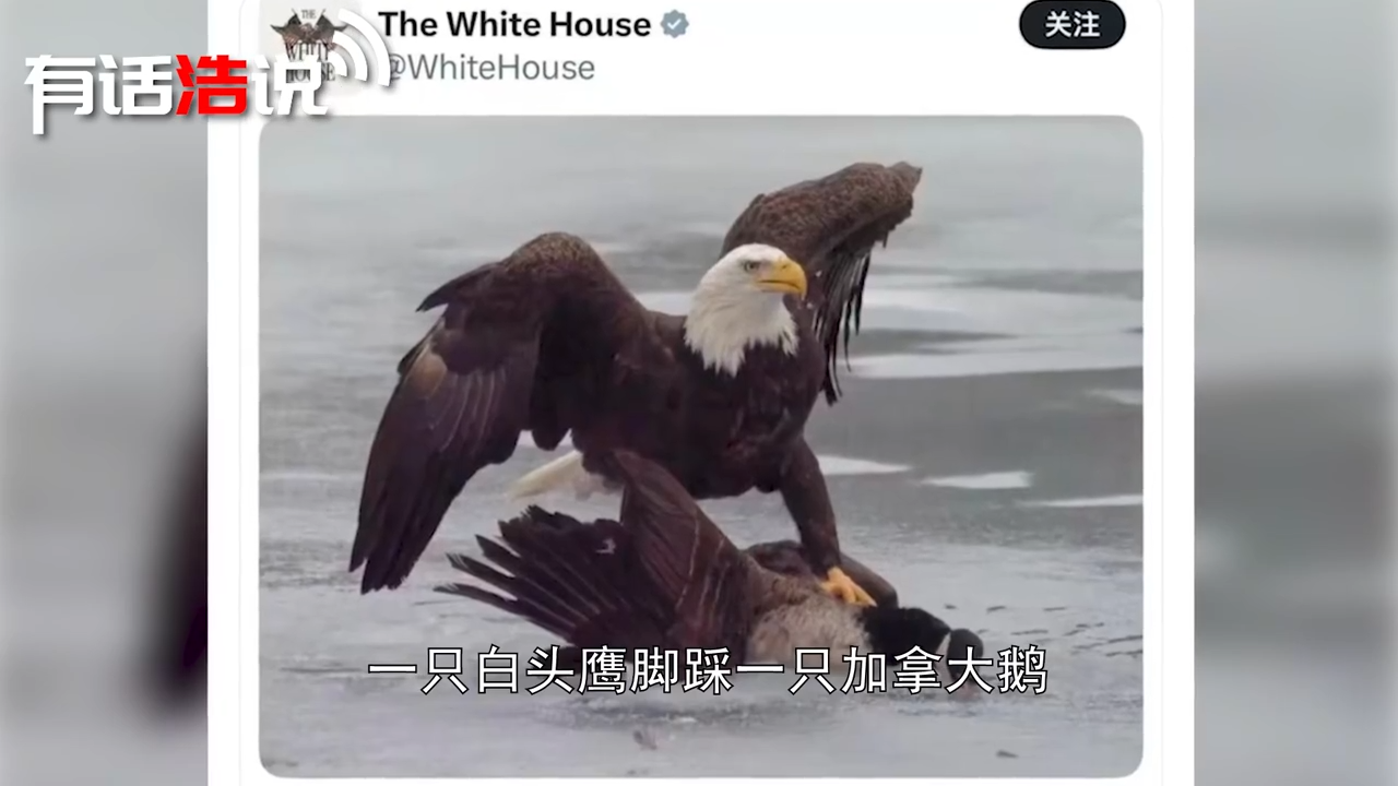 全世界都在看美加笑话，偏偏美加最好笑，白宫发图暗示特朗普结局