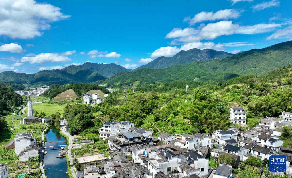 这是8月25日拍摄的理坑村全貌（无人机照片 ）。