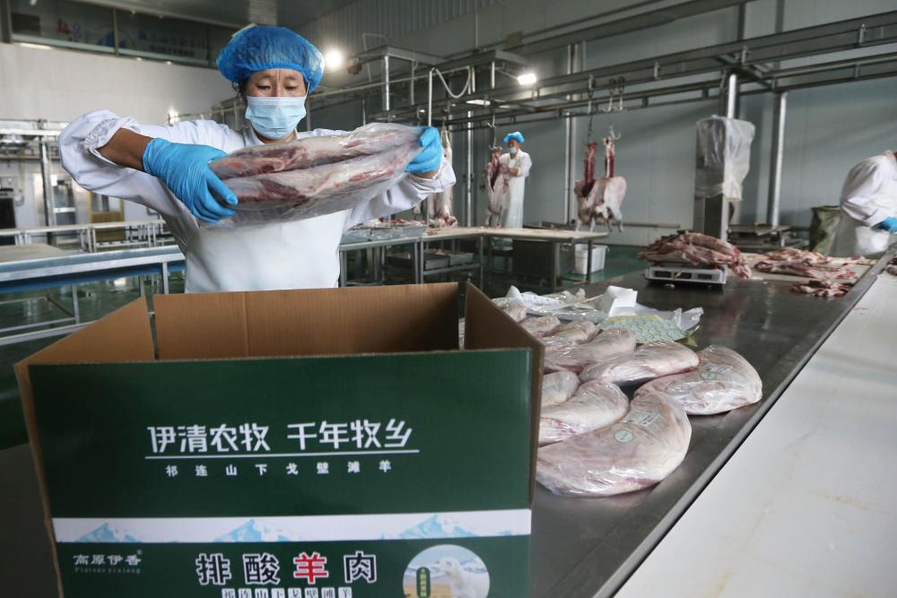 8月21日,在甘肃省定西市伊清农牧科技开发有限公司,工作人员在加工车间将包装好的羊肉装箱。