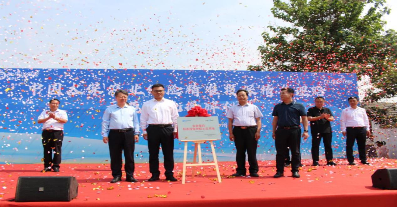 中国太保产险山东分公司：书写金融“五篇大文章”  以“三心”服务绘就保险为民齐鲁画卷