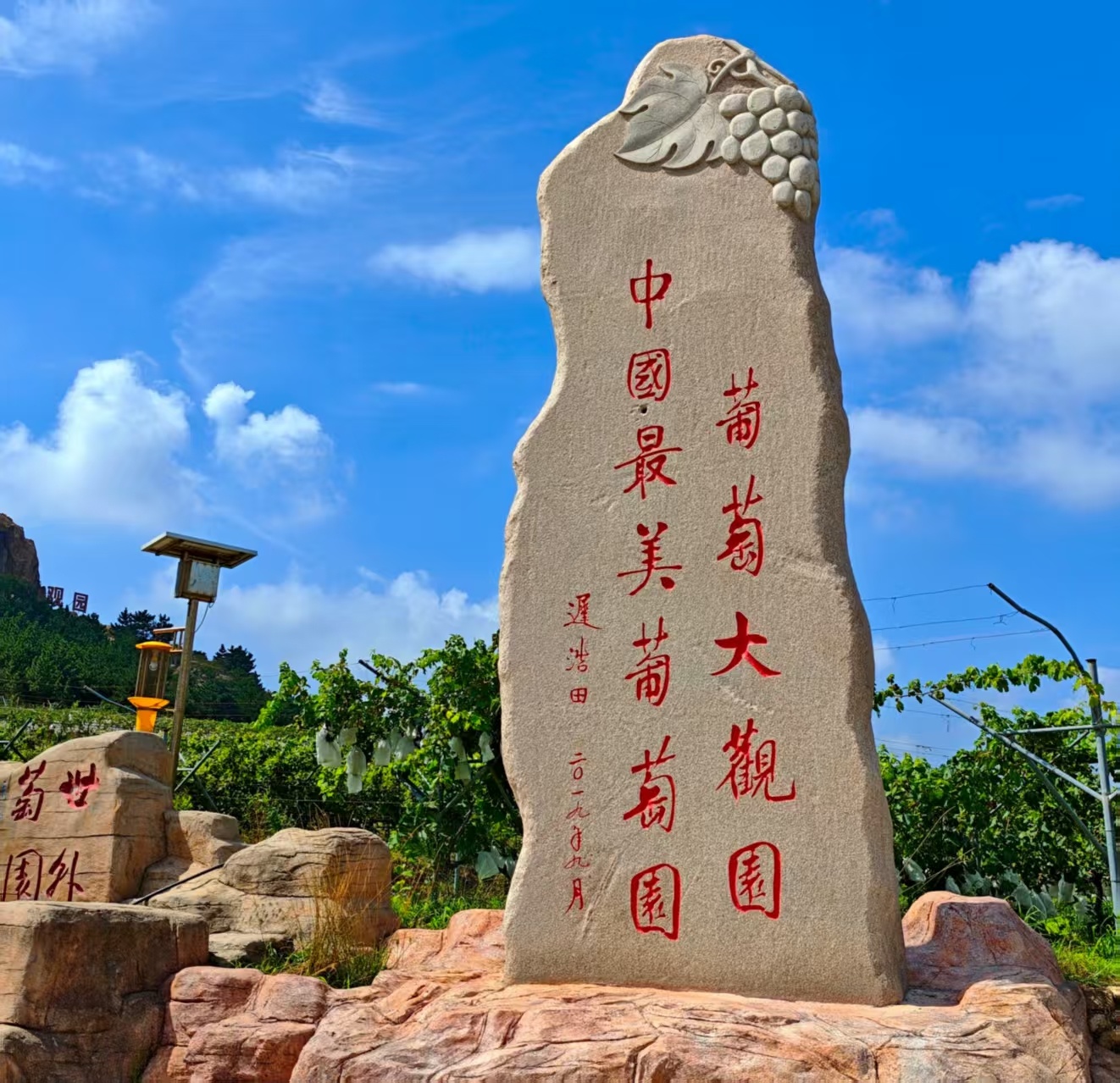 葡萄树下话振兴!第40届农旅·大泽山葡萄节将于9月5日启幕