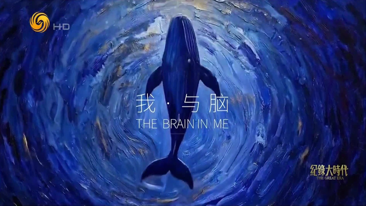 我·与脑：独有的世界